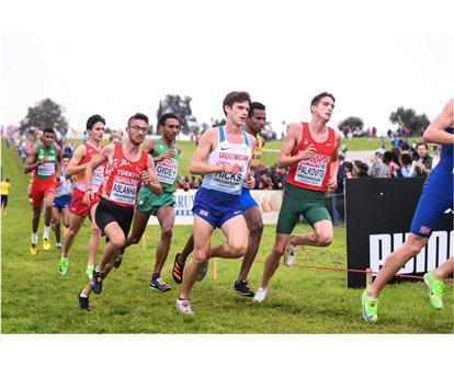 Hicks euro XC group